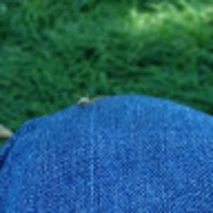 Meet your Posher, Sam